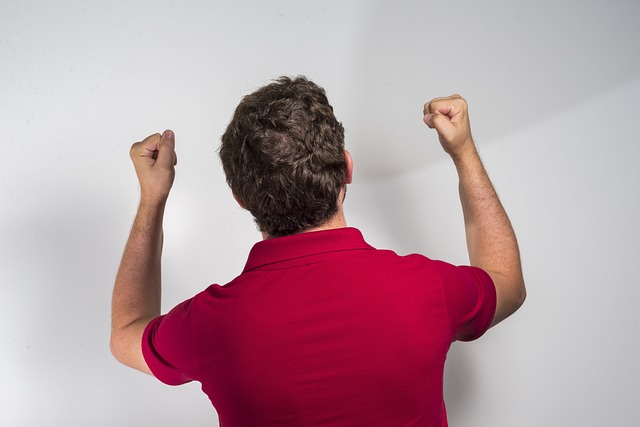 藍衣軍團直 藍衣軍團直