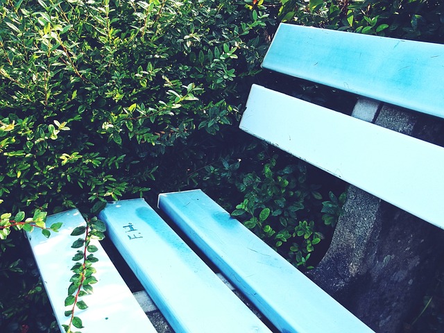 全场专注 全场专注