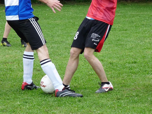 答案并不复 答案并不复