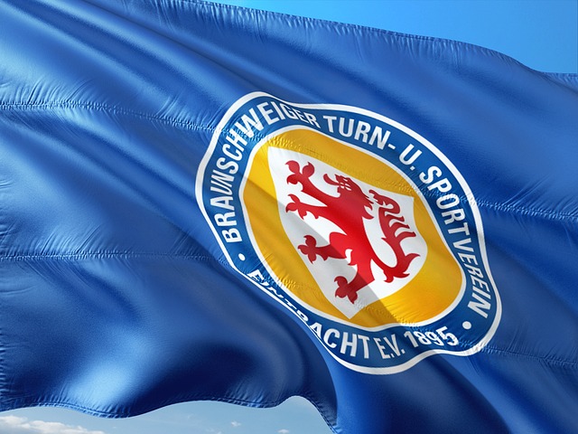 智的方式化 智的方式化