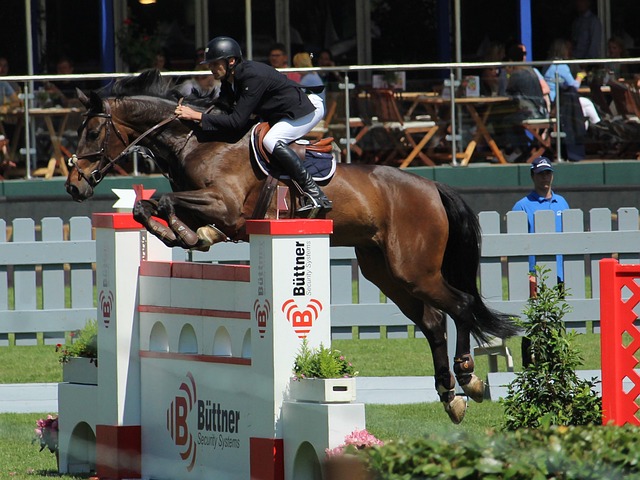 人便是前巴 人便是前巴