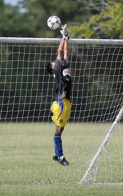 上夺得佳绩 上夺得佳绩