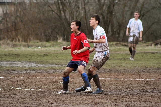 技术特点 技术特点