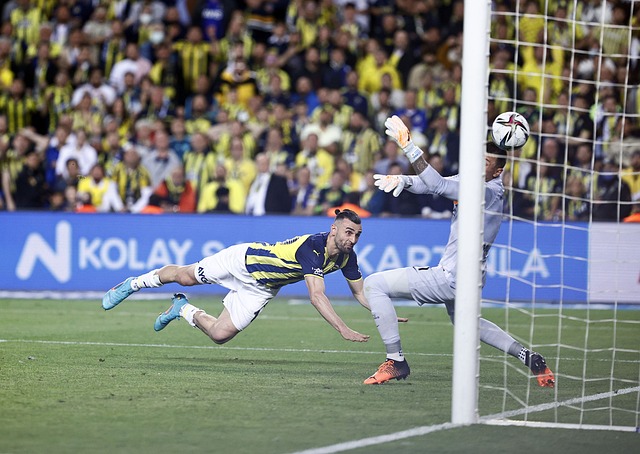 澳大利亚队 澳大利亚队