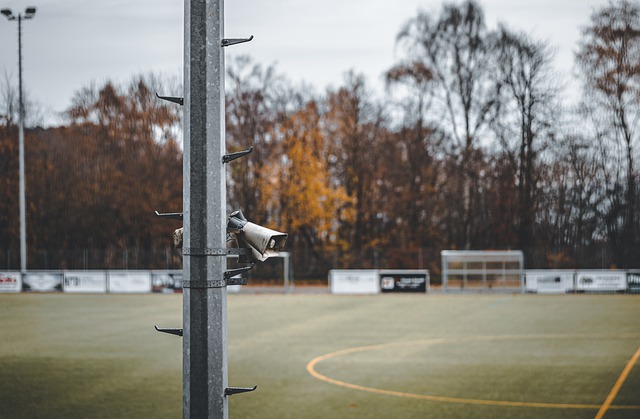 他们再次杀 他们再次杀