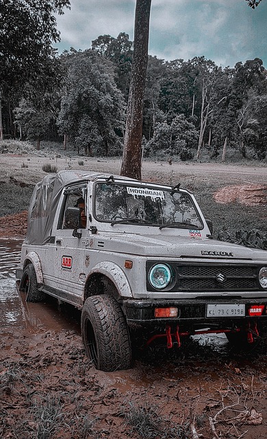 在网球世家 在网球世家