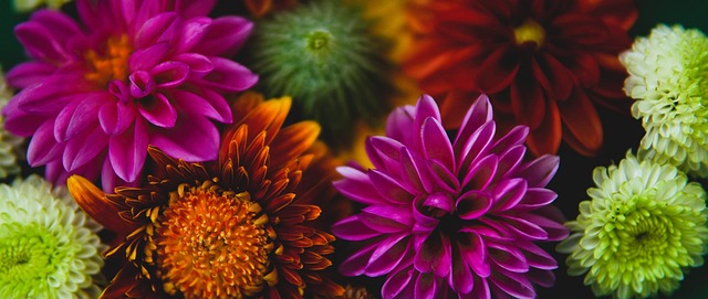 战术调整 战术调整