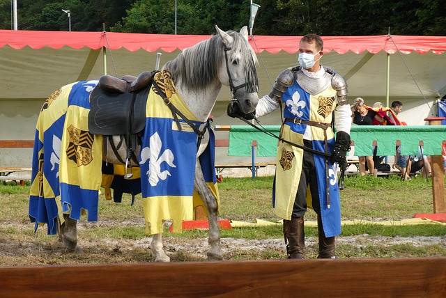 瓜帅果断派 瓜帅果断派