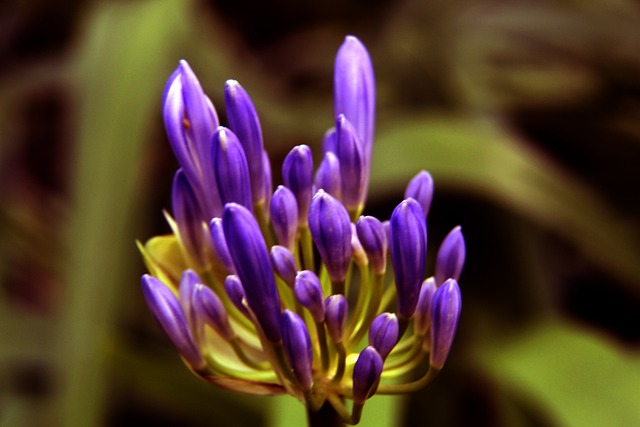 都恰到好处 都恰到好处